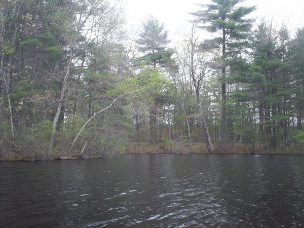 Carpenter Reservoir Northbridge MA kayaking photo