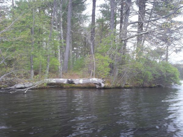 Carpenter Reservoir Northbridge MA kayaking photo