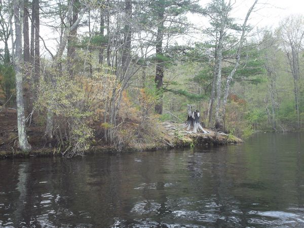 Carpenter Reservoir Northbridge MA kayaking photo