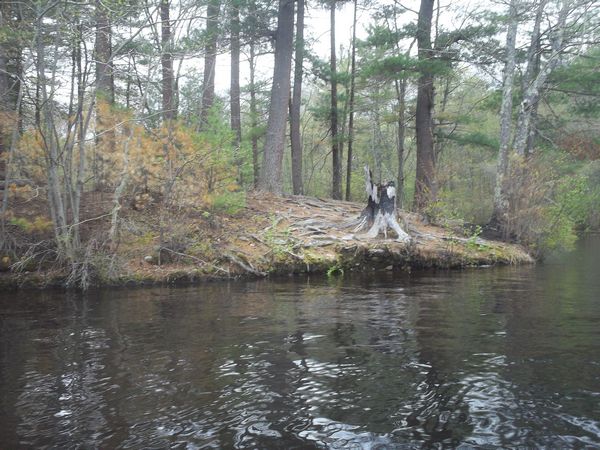 Carpenter Reservoir Northbridge MA kayaking photo