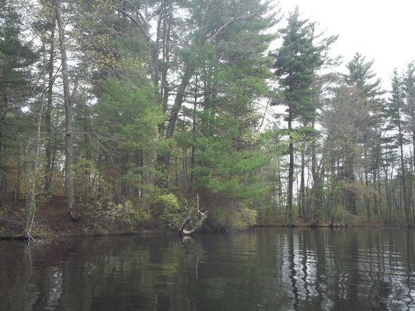 Carpenter Reservoir Northbridge MA kayaking photo