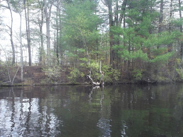 Carpenter Reservoir Northbridge MA kayaking photo