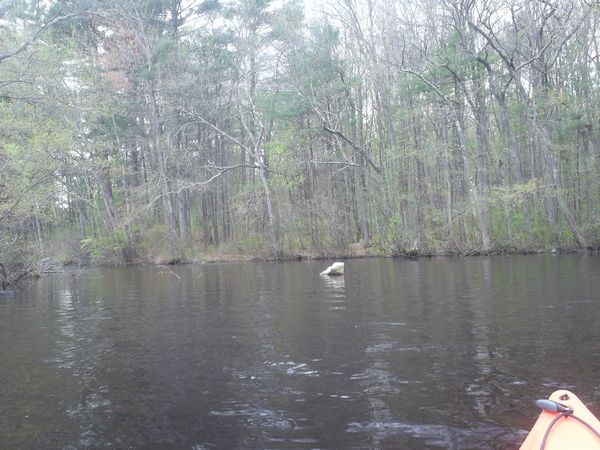 Carpenter Reservoir Northbridge MA kayaking photo