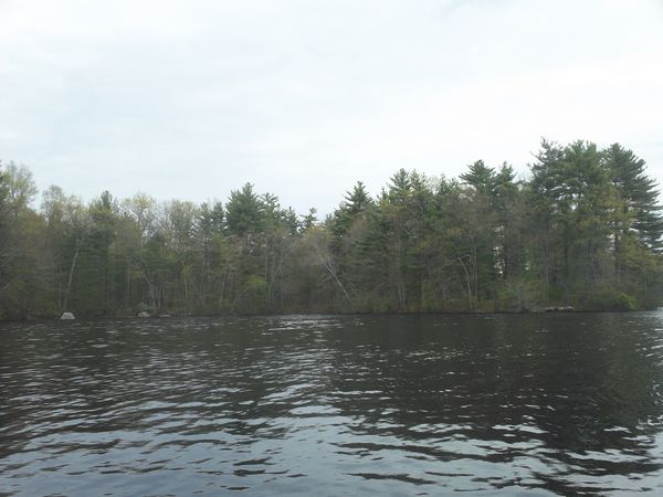 Carpenter Reservoir Northbridge MA kayaking photo