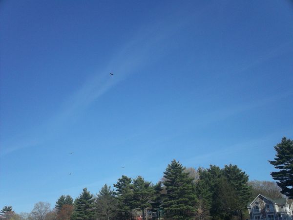 Manchaug Pond Sutton MA Kayaking photo