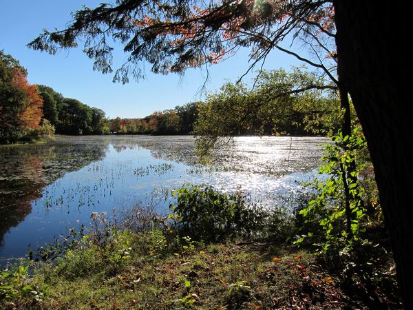 Merrill Pond State Reservation photo