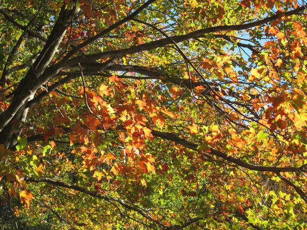 Merrill Pond State Reservation photo