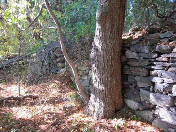 Merrill Pond State Reservation photo