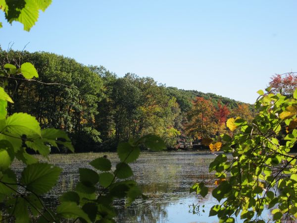 Merrill Pond State Reservation photo