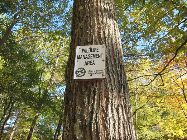 Merrill Pond State Reservation photo