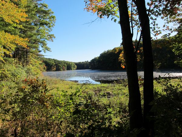 Merrill Pond State Reservation photo
