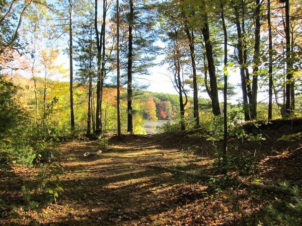 Merrill Pond State Reservation photo