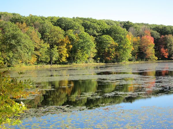 Merrill Pond State Reservation photo