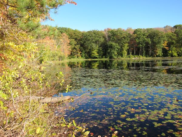 Merrill Pond State Reservation photo