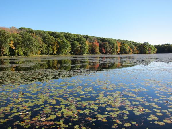 Merrill Pond State Reservation photo