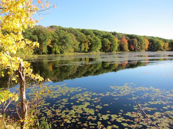 Merrill Pond State Reservation photo