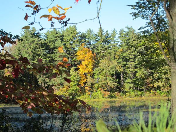 Merrill Pond State Reservation photo