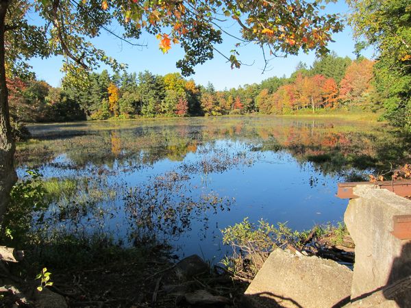 Merrill Pond State Reservation photo