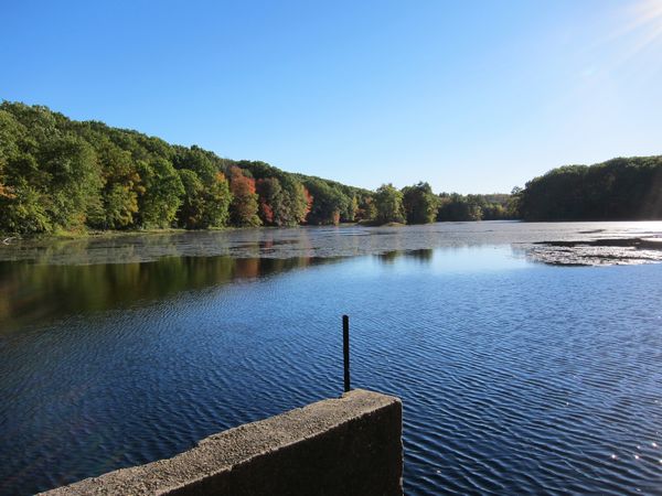 Merrill Pond State Reservation photo