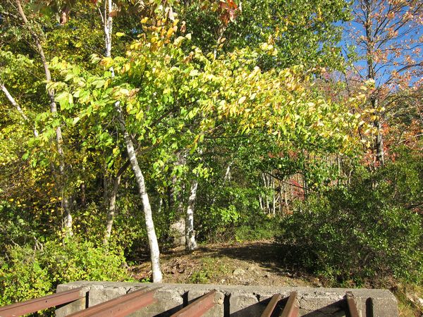 Merrill Pond State Reservation photo