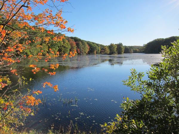 Merrill Pond State Reservation photo