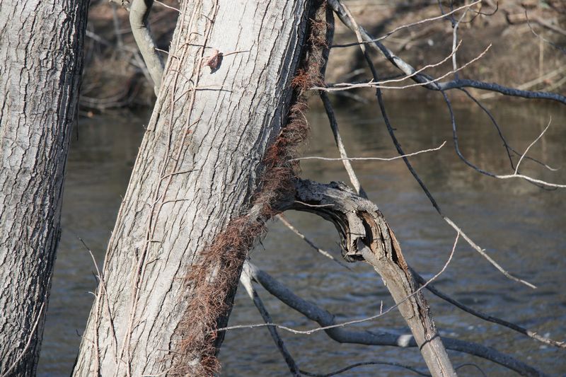 Blackstone Valley Bike Trail photo