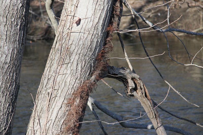 Blackstone Valley Bike Trail photo