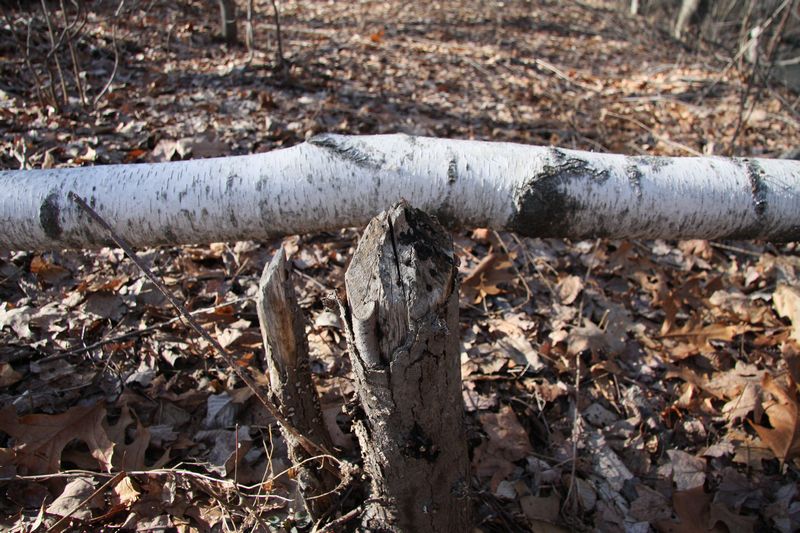Blackstone Valley Bike Trail photo