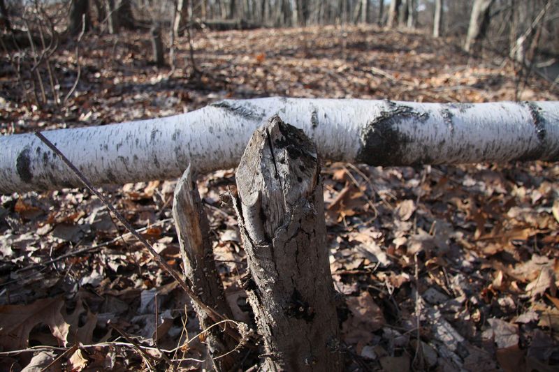 Blackstone Valley Bike Trail photo