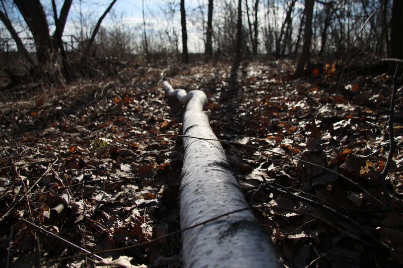 Blackstone Valley Bike Trail photo