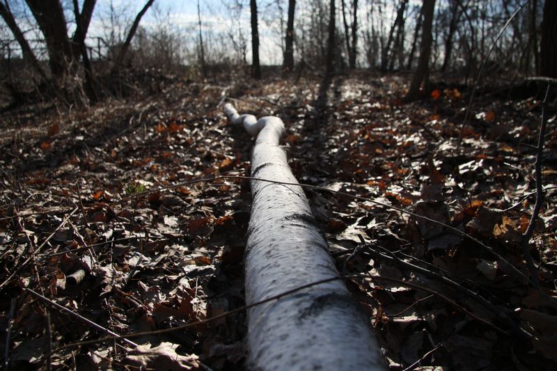 Blackstone Valley Bike Trail photo