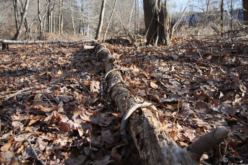 Blackstone Valley Bike Trail photo