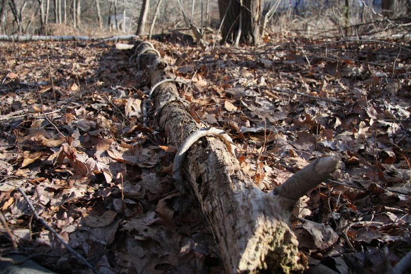 Blackstone Valley Bike Trail photo