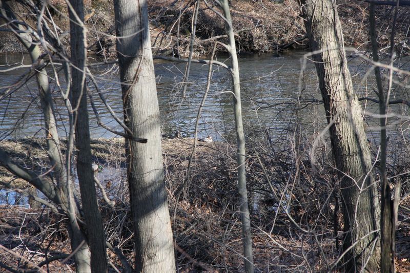 Blackstone Valley Bike Trail photo