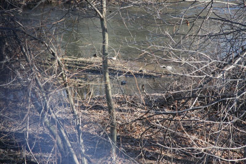 Blackstone Valley Bike Trail photo