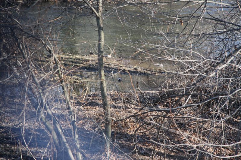 Blackstone Valley Bike Trail photo