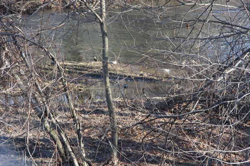 Blackstone Valley Bike Trail photo