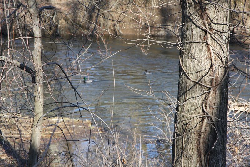 Blackstone Valley Bike Trail photo
