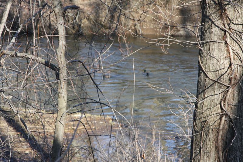 Blackstone Valley Bike Trail photo