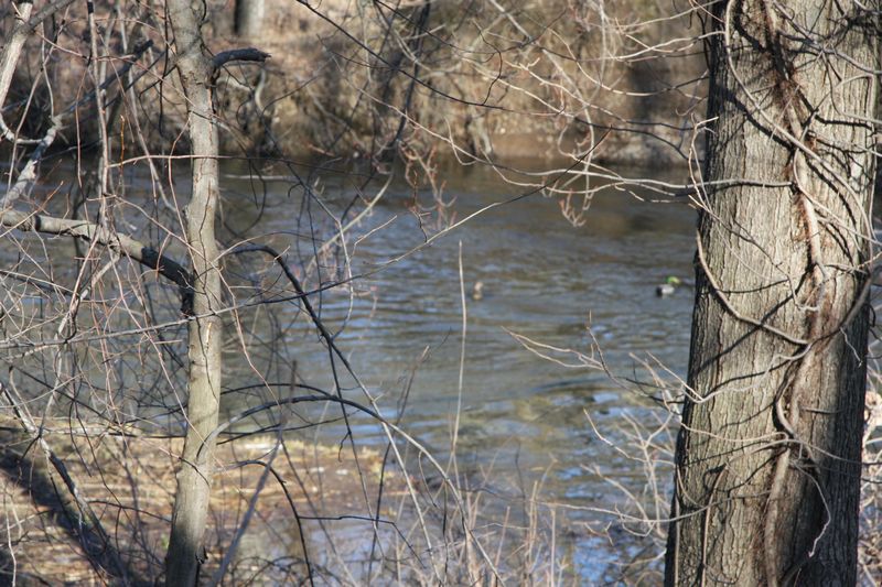 Blackstone Valley Bike Trail photo