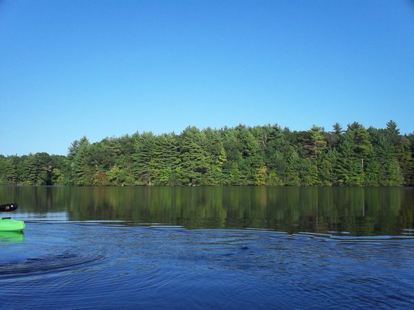 Carpenter Reservoir Foliage photo