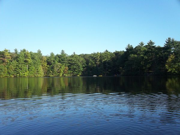 Carpenter Reservoir Foliage photo