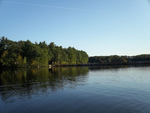 Carpenter Reservoir Foliage photo