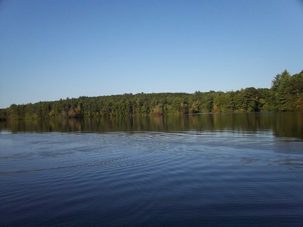 Carpenter Reservoir Foliage photo
