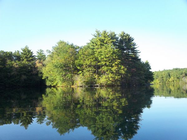 Carpenter Reservoir Foliage photo