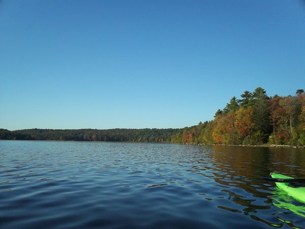 Manchaug Pond Foliage photo