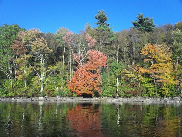 Manchaug Pond Foliage photo