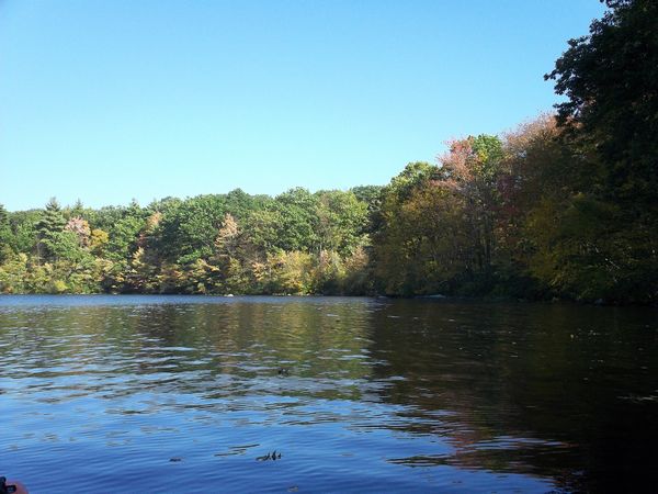 Stevens Pond Foliage photo