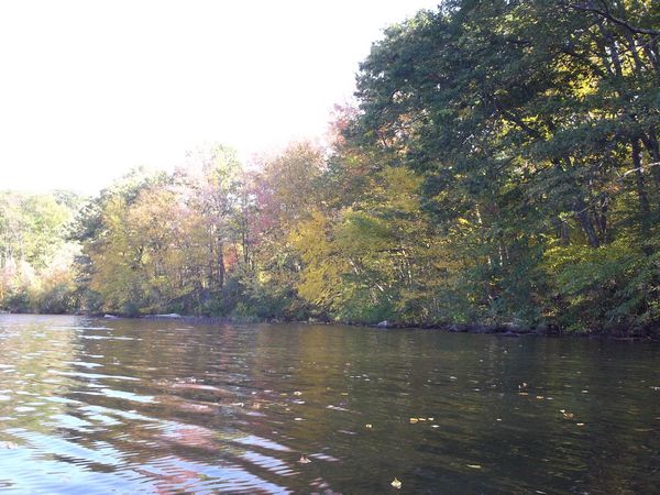 Stevens Pond Foliage photo