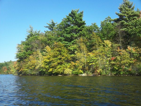 Stevens Pond Foliage photo